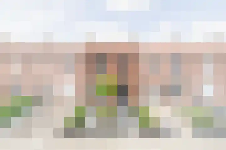 van Kleefstraat 8 Tegelen thumbnail 31