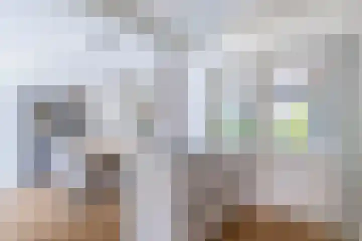van Kleefstraat 8 Tegelen thumbnail 5