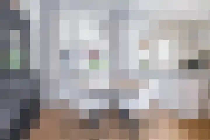 van Kleefstraat 8 Tegelen thumbnail 6