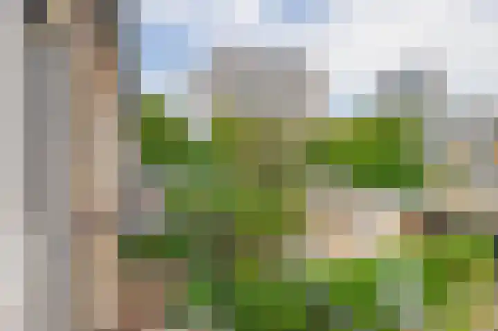 Van Kleffenslaan 10 Utrecht thumbnail 22