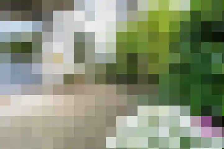 Van Kleffenslaan 101 Utrecht thumbnail 22