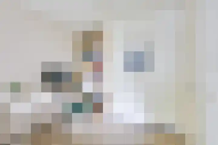 Van Kleffenslaan 101 Utrecht thumbnail 36