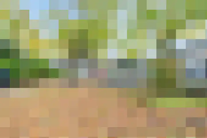 Van Kleffenslaan 101 Utrecht thumbnail 43