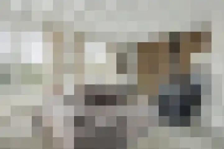 Van Kleffenslaan 108 Middelburg thumbnail 14