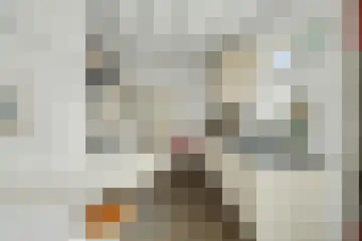 Van Kleffenslaan 108 Middelburg thumbnail 17