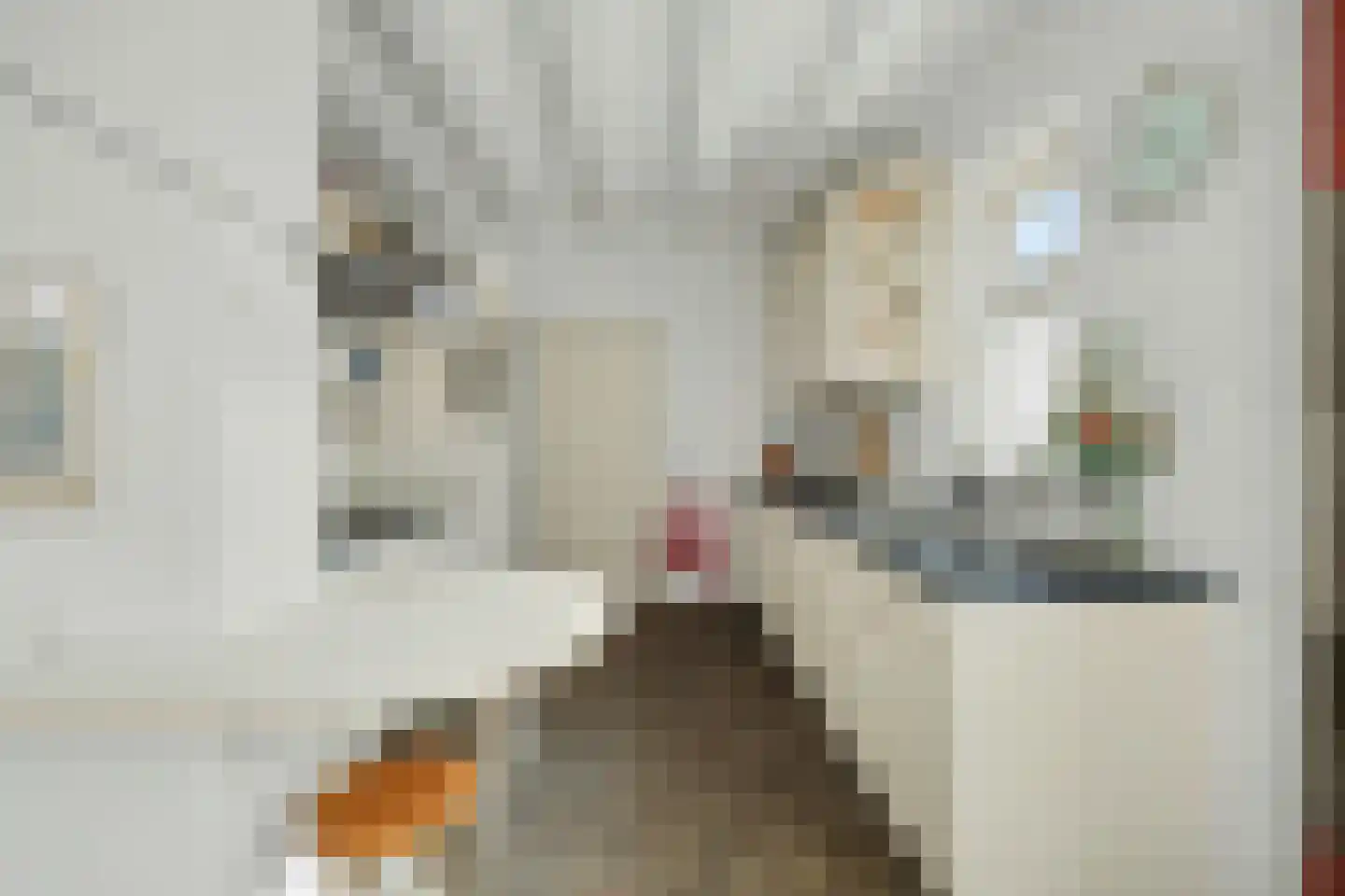 Van Kleffenslaan 108 Middelburg thumbnail 17