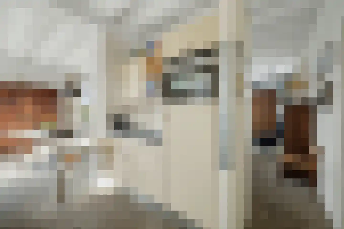 Van Kleffenslaan 108 Middelburg thumbnail 18