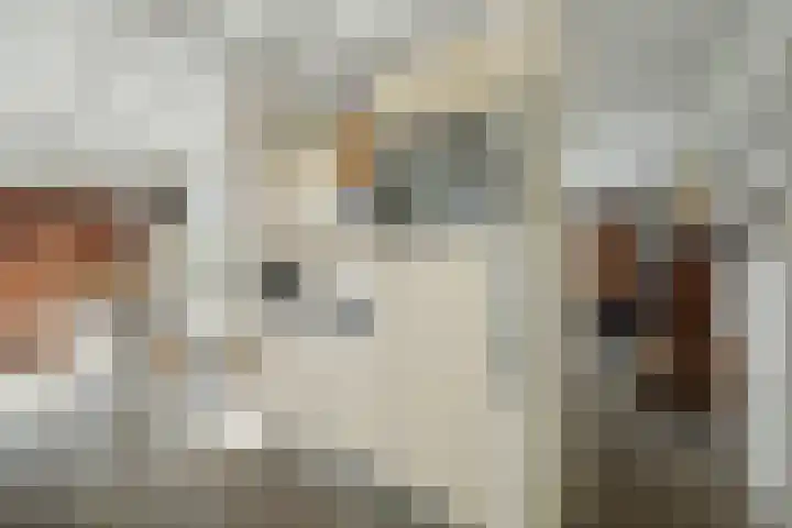 Van Kleffenslaan 108 Middelburg thumbnail 18