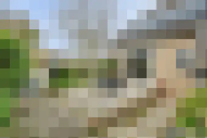 Van Kleffenslaan 108 Middelburg thumbnail 39