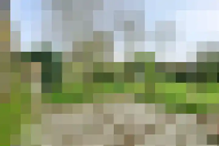 Van Kleffenslaan 108 Middelburg thumbnail 40