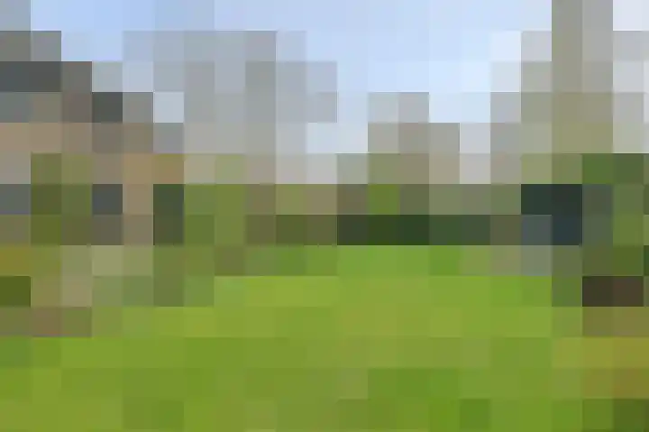 Van Kleffenslaan 108 Middelburg thumbnail 41