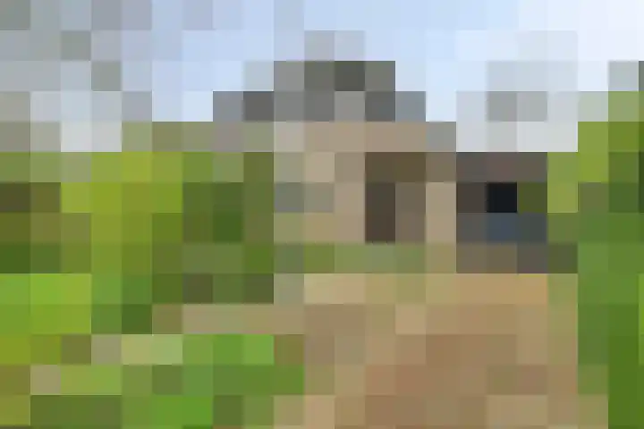 Van Kleffenslaan 108 Middelburg thumbnail 7