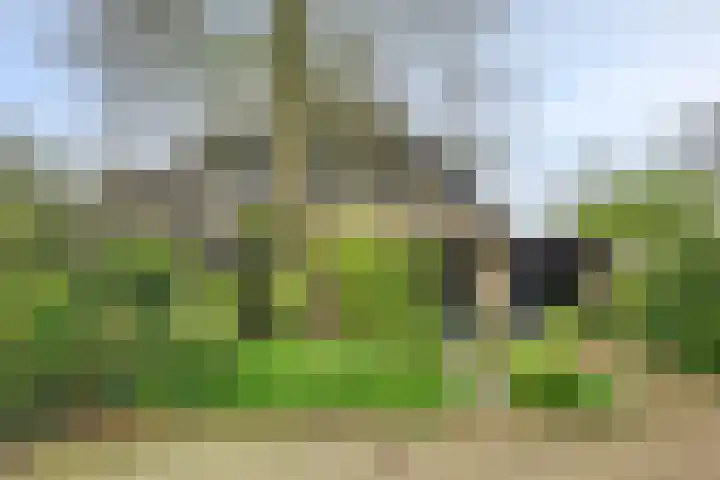 Van Kleffenslaan 108 Middelburg thumbnail 8
