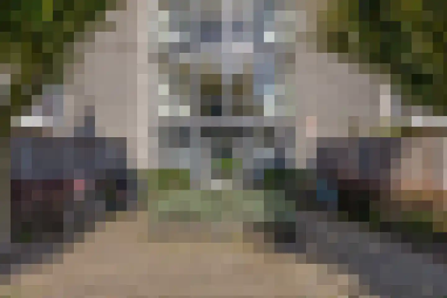 Van Kleffenslaan 115 Utrecht thumbnail 9
