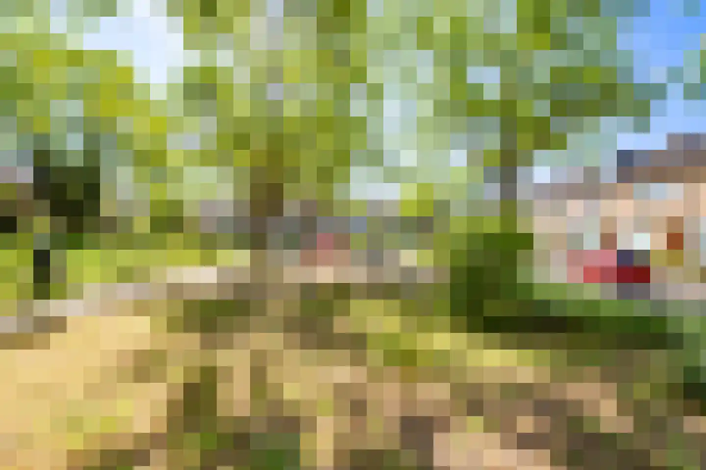 Van Kleffenslaan 121 Utrecht thumbnail 36