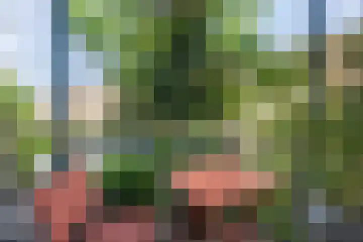 Van Kleffenslaan 129 Utrecht thumbnail 11