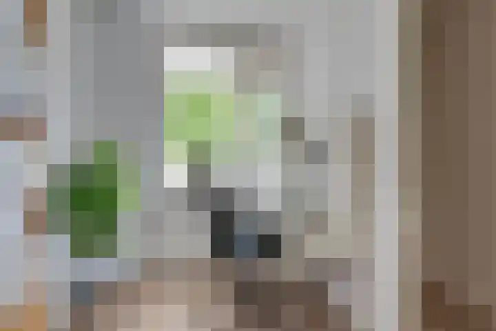 Van Kleffenslaan 129 Utrecht thumbnail 18
