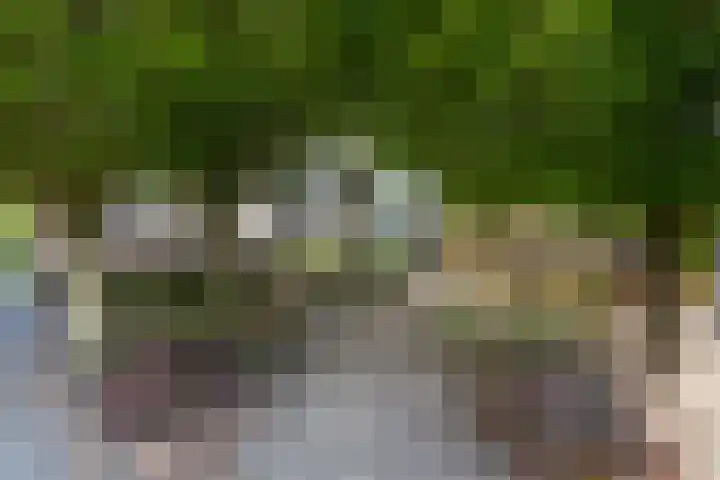 Van Kleffenslaan 129 Utrecht thumbnail 24