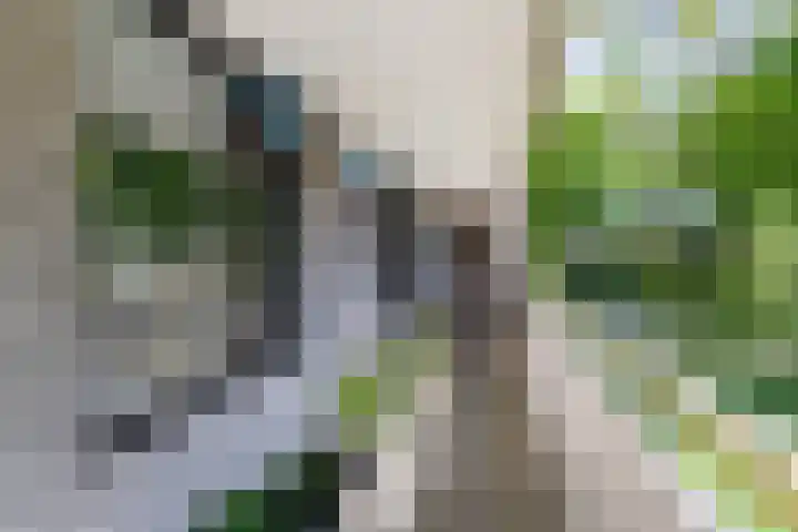 Van Kleffenslaan 129 Utrecht thumbnail 26
