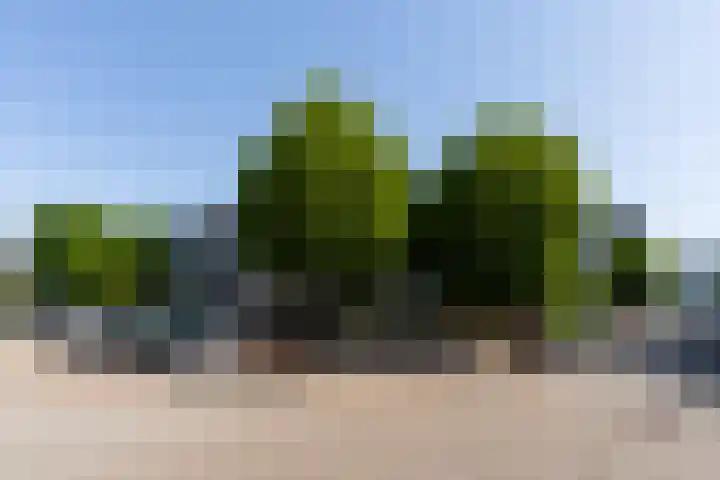 Van Kleffenslaan 129 Utrecht thumbnail 29