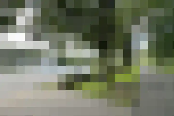 Van Kleffenslaan 129 Utrecht thumbnail 31