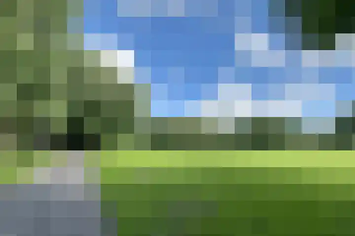 Van Kleffenslaan 129 Utrecht thumbnail 32