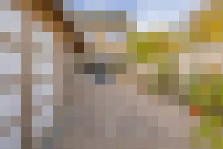 Van Kleffenslaan 133 Middelburg thumbnail 23