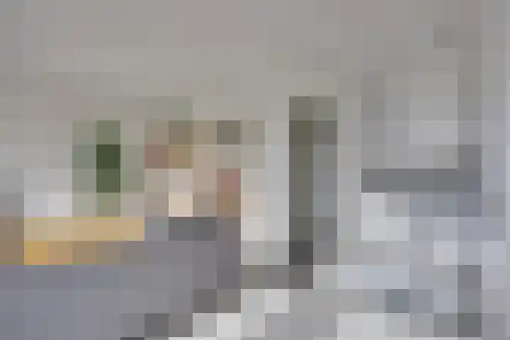 Van Kleffenslaan 139 Utrecht thumbnail 12
