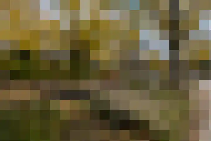 Van Kleffenslaan 139 Utrecht thumbnail 23