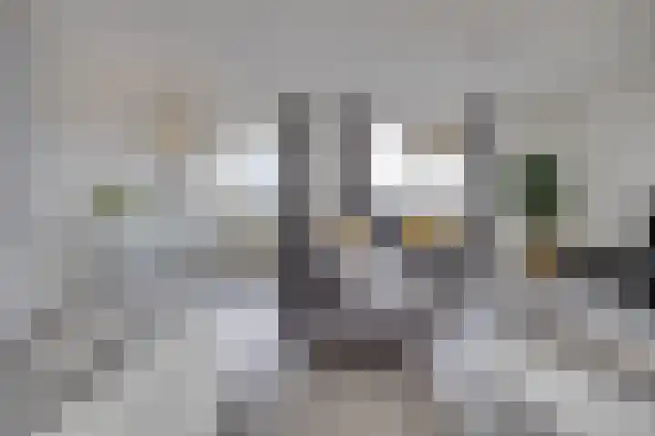 Van Kleffenslaan 139 Utrecht thumbnail 8