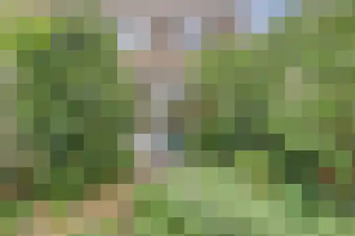 Van Kleffenslaan 14 Middelburg thumbnail 26