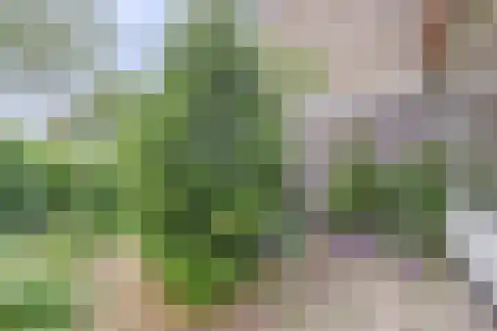 Van Kleffenslaan 14 Middelburg thumbnail 27