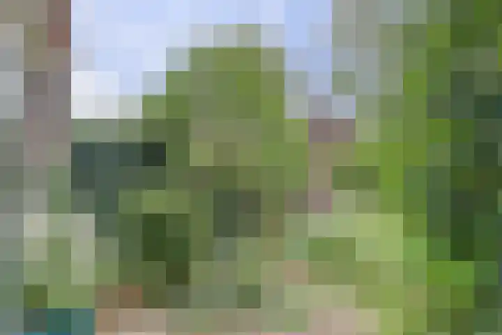 Van Kleffenslaan 14 Middelburg thumbnail 4