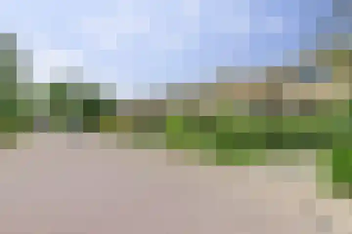 Van Kleffenslaan 14 Middelburg thumbnail 6