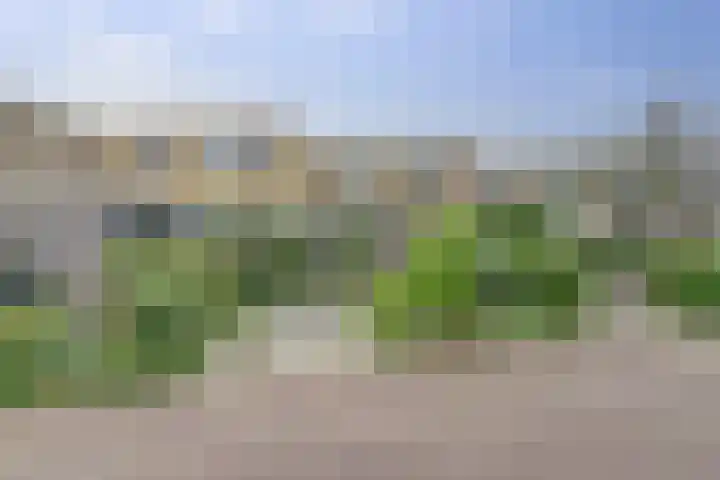 Van Kleffenslaan 14 Middelburg thumbnail 7