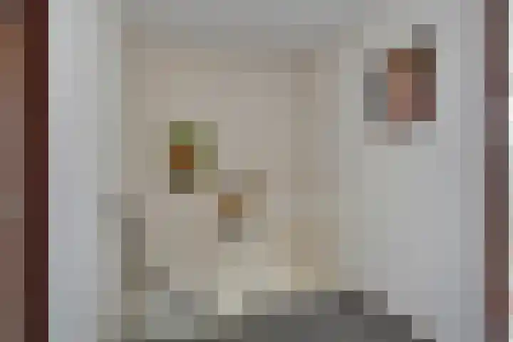 Van Kleffenslaan 141 Middelburg thumbnail 18