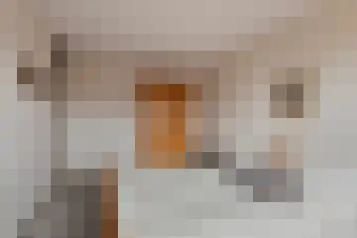 Van Kleffenslaan 141 Middelburg thumbnail 20