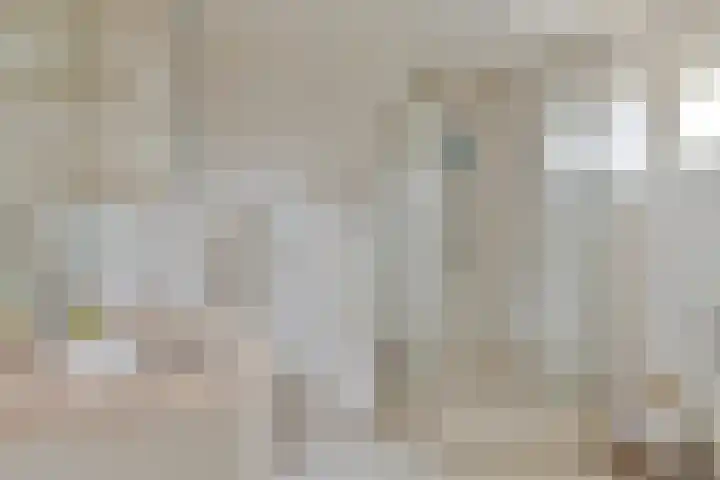 Van Kleffenslaan 141 Middelburg thumbnail 23