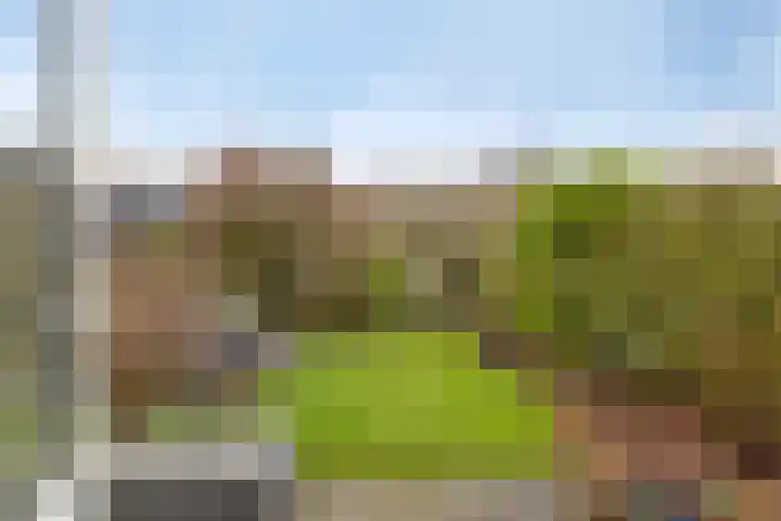 Van Kleffenslaan 141 Middelburg thumbnail 25