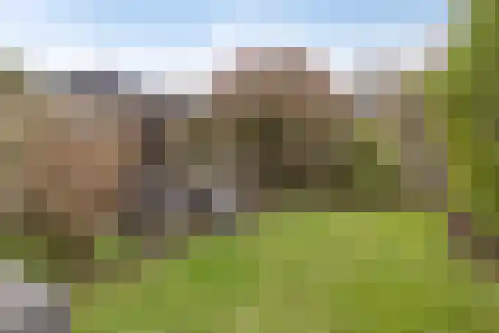 Van Kleffenslaan 141 Middelburg thumbnail 26