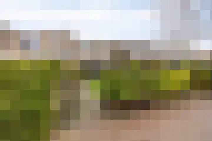 Van Kleffenslaan 141 Middelburg thumbnail 29