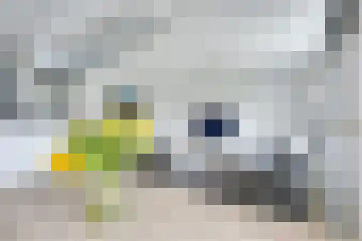 Van Kleffenslaan 165 Utrecht thumbnail 11