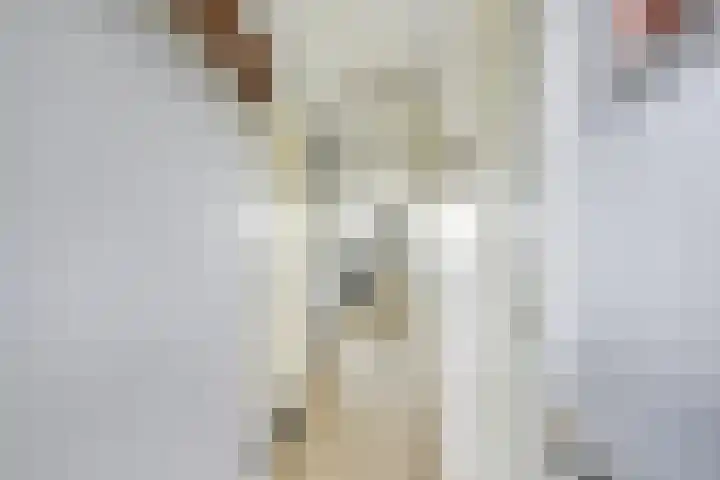 Van Kleffenslaan 165 Utrecht thumbnail 32