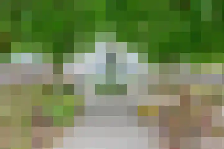 Van Kleffenslaan 165 Utrecht thumbnail 45