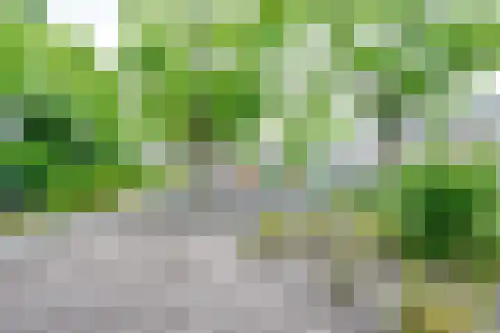 Van Kleffenslaan 165 Utrecht thumbnail 52