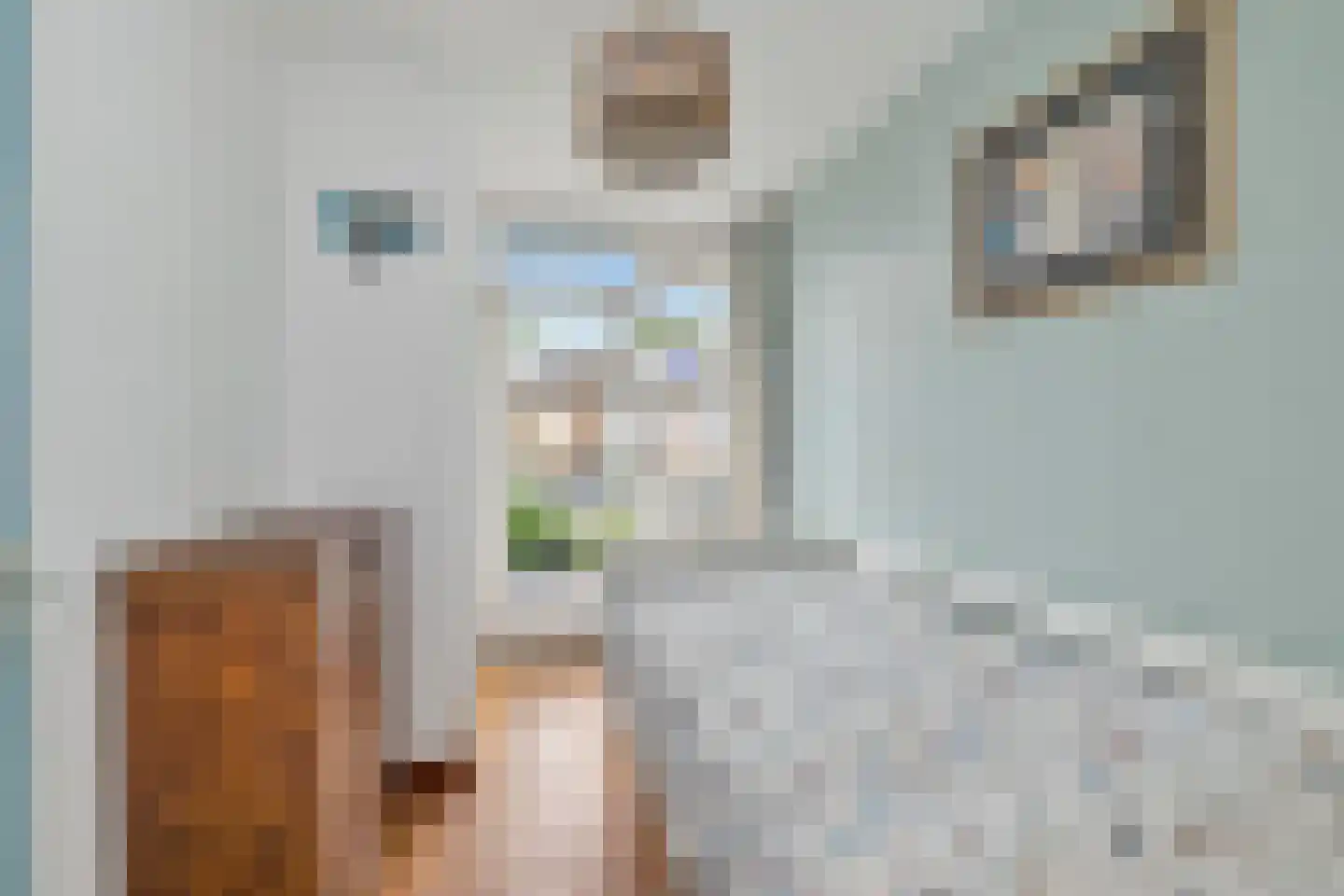 Van Kleffenslaan 52 Utrecht thumbnail 20