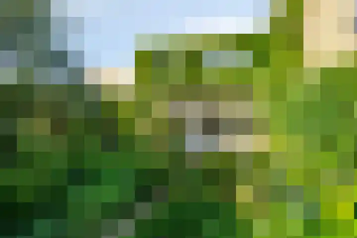 Van Kleffenslaan 67 Middelburg thumbnail 32