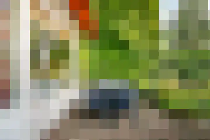 Van Kleffenslaan 67 Middelburg thumbnail 33