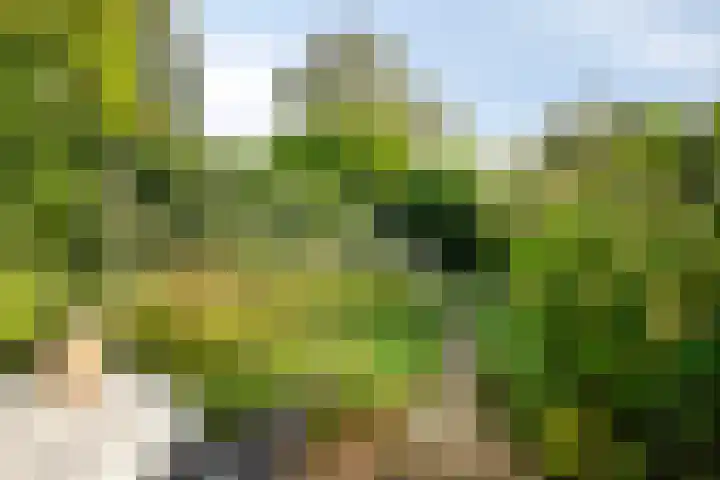 Van Kleffenslaan 67 Middelburg thumbnail 34