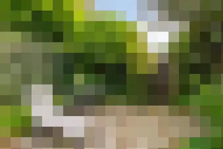 Van Kleffenslaan 67 Middelburg thumbnail 36